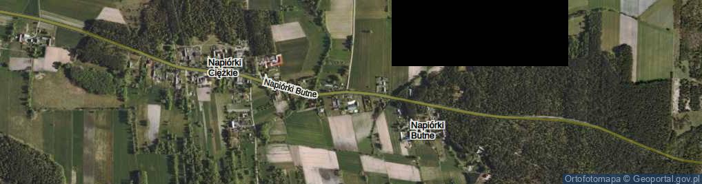 Zdjęcie satelitarne Napiórki Butne ul.